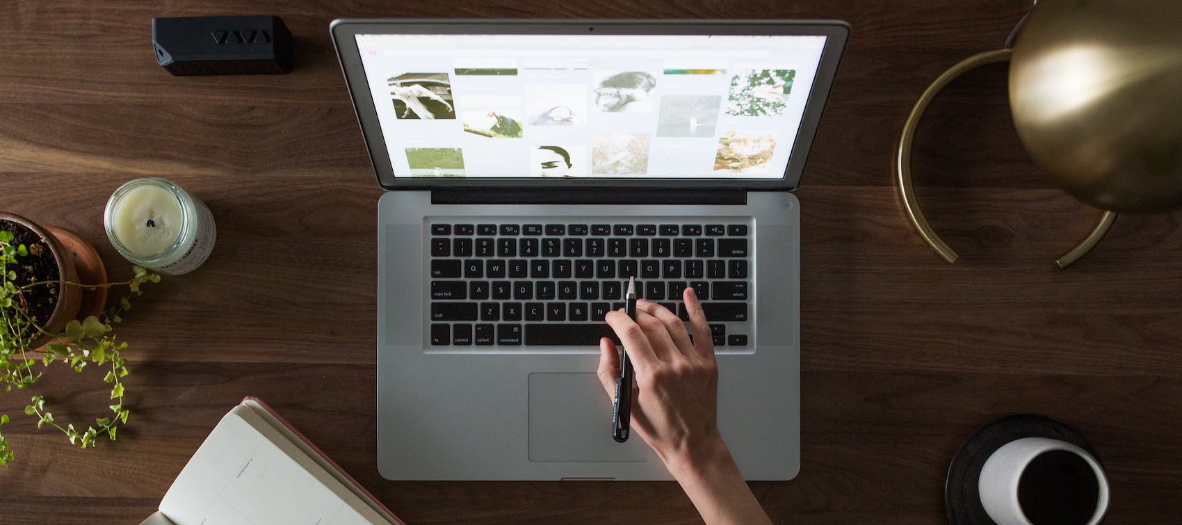 Williamson De Samuel